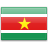 Real Estate Companies Suriname