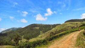 12 acres of beautiful tea land for sale in Sri Lanka Central