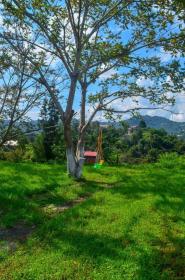 Private guest house for sale - villa in Batumi