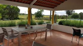 Farm with house, swimming pool and wide panoramic view