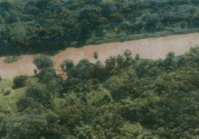 Large property with extensive forests, agricultural land and precious wood trees