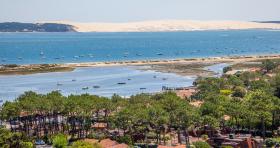Superb Villa Cap-Ferret on 44 hectares in popular area