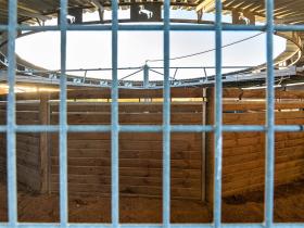 Quinta Equestre - Large house 25 km from Lisbon