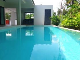 For sale 2 villas with swimming pool in Namuang