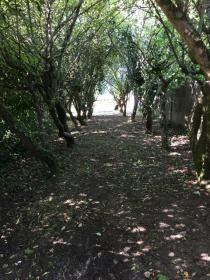For sale building land 10,000 m2 15 minutes from Nantes