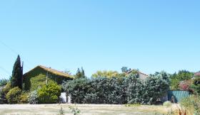Pension for dogs and cats - Farm property on 26.600 m2