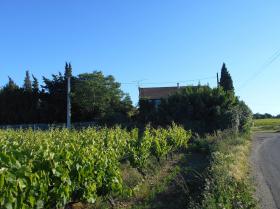 Pension for dogs and cats - Farm property on 26.600 m2