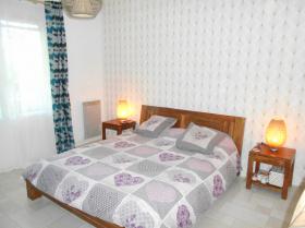 Pension for dogs and cats - Farm property on 26.600 m2