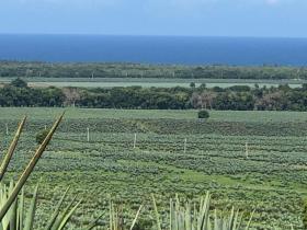 Flat land for sale next to Vipingo Ridge