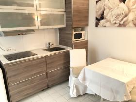 Apartment 2 rooms near Beaugrenelle and Eiffel Tower