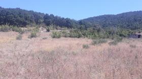 3 land plots for sale in Kosharitsa