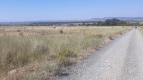 3 land plots for sale in Kosharitsa