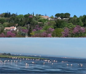 Sale flat 75 m2 located next to Parc du Luberon