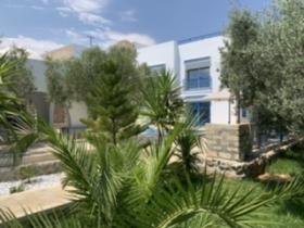 Villa in the middle of olive trees with sea view