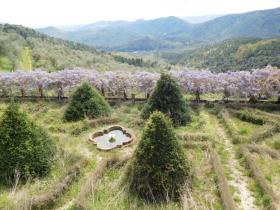 Villa Paolina di Compignano: Luxury historical villa for sale in Tuscany