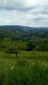 For sale large land and family farmhouse - opportunities for investor