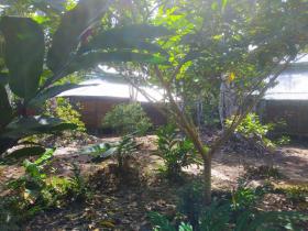 Land complex 70 ha in the jungle of Peru near the Amazon for sale immediately