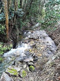 The paradise farm along the river Rio Ribeira do Neto