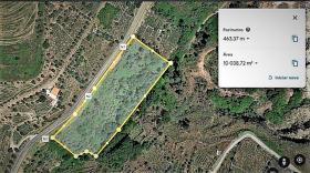 The paradise farm along the river Rio Ribeira do Neto