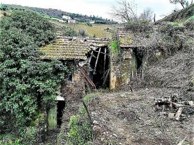 The paradise farm along the river Rio Ribeira do Neto