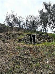 The paradise farm along the river Rio Ribeira do Neto