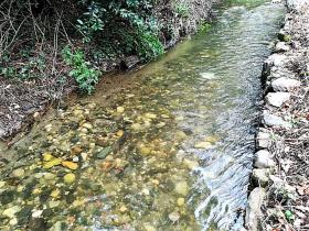 The paradise farm along the river Rio Ribeira do Neto