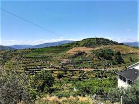 The paradise farm along the river Rio Ribeira do Neto