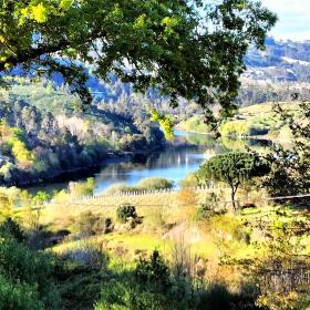 Farm 25000 m2 of land overlooking the Tâmeg river