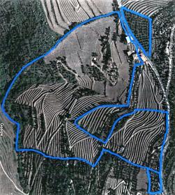 Unique Farm for sale in Alto Douro Vinhateiro, Parada do Bispo