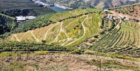 Unique Farm for sale in Alto Douro Vinhateiro, Parada do Bispo