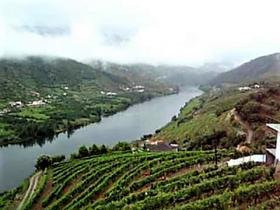 Unique Farm for sale in Alto Douro Vinhateiro, Parada do Bispo