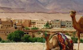 800 ha of land ideal proposal for investors