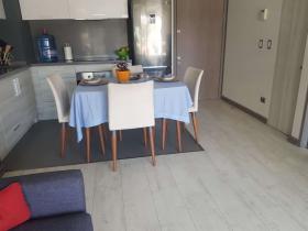Butterfly style apartment for rent in Viña Del Mar