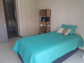 Butterfly style apartment for rent in Viña Del Mar