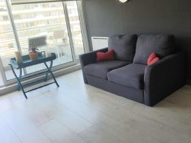 Butterfly style apartment for rent in Viña Del Mar