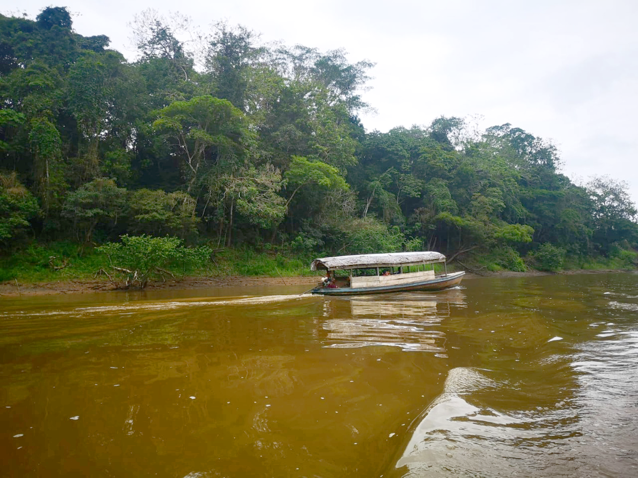 Peru Exquisite land for sale in Iquitos forest near airport