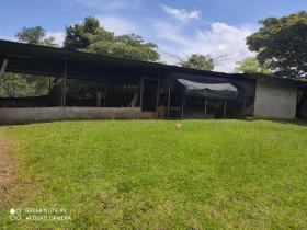 16 ha Land 15 minutes from downtown Penonomé