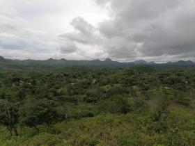 16 ha Land 15 minutes from downtown Penonomé