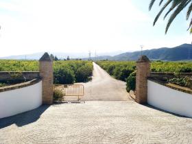Absolute privacy over 12 beautifully maintained hectares