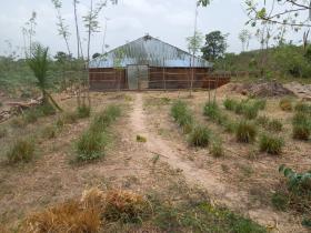 For sale agricultural farm 1.83 ha