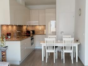 Newly built penthouse apartment