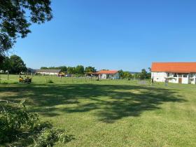 Horse farm at Lake Balaton