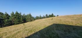 Land for the construction of family villas or chalets