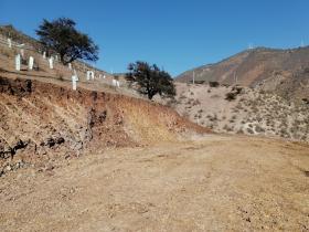 I am selling land, vacant site - 6200 m2 plot