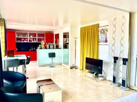 Apartment with terrace and magical view of Paris