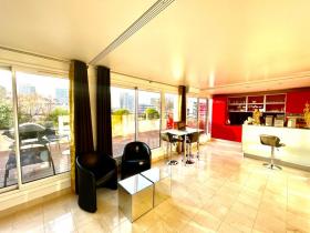 Apartment with terrace and magical view of Paris