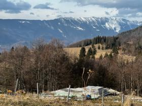 Building land 30,000 m2 + forest area 20,000 m2