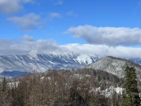 Building land 30,000 m2 + forest area 20,000 m2