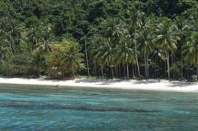 Nearly 4 hectares of prime tropical island beachfront
