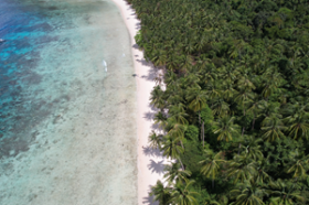Nearly 4 hectares of prime tropical island beachfront